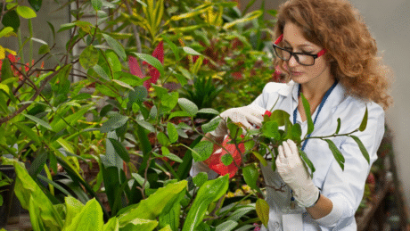 Botany and Gardening Physiology
