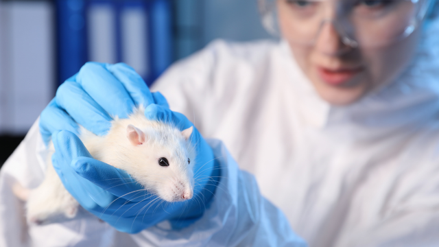 Zoology, Genetics & Animal Science