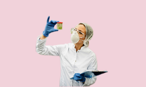 Environmental Analyst