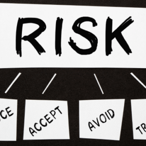 Risk Analyst