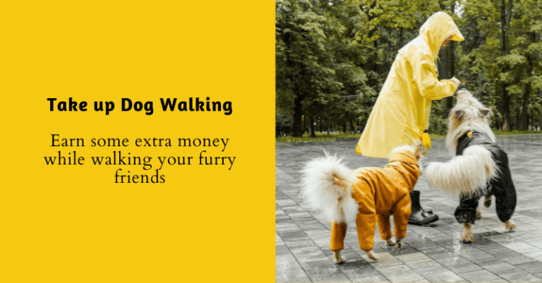 dog-walking-Jobs-for-16-Year-Olds