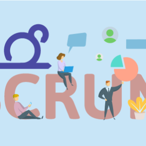 Scrum Immersion