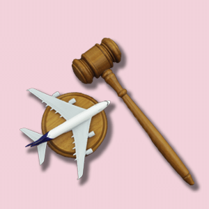 Aviation Law Training