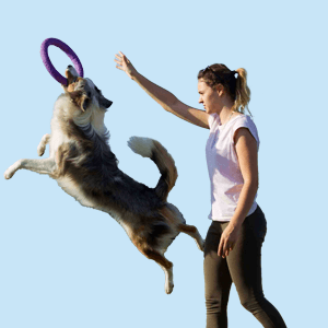 Pet Training Masterclass