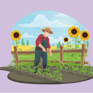 Garden Design and Landscaping for Beginners