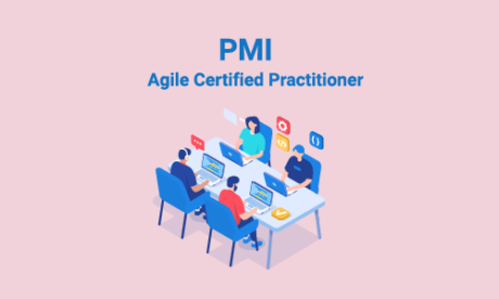 PMI Agile Certified Practitioner (PMI-ACP)® Exam Preparation Course
