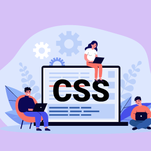 Learn CSS Coding from Scratch
