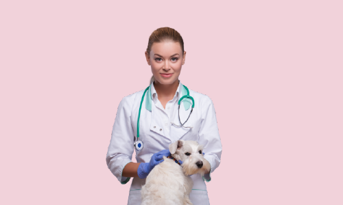 Dog Health Care