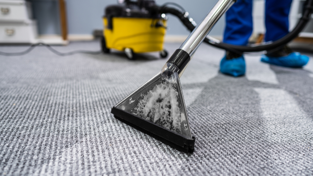 Cleaner Training