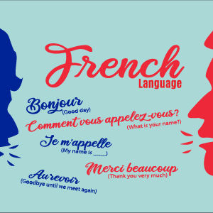 Learn French Language - Mega Bundle