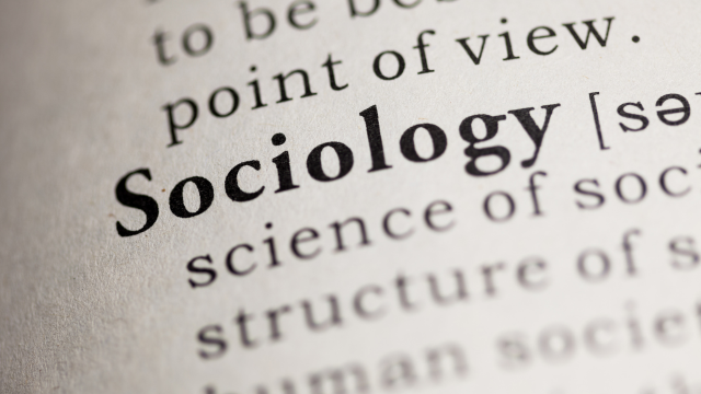 Sociology