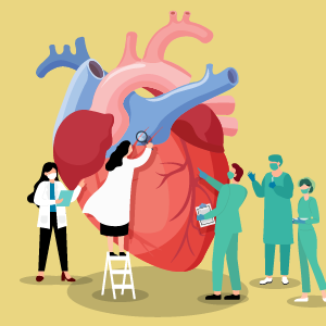 Basic Cardiac (Heart) Care Course
