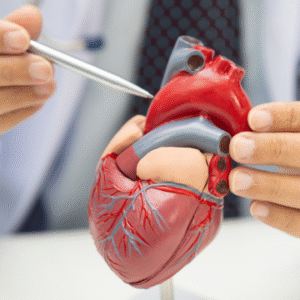 Basic Cardiac (Heart) Care Course