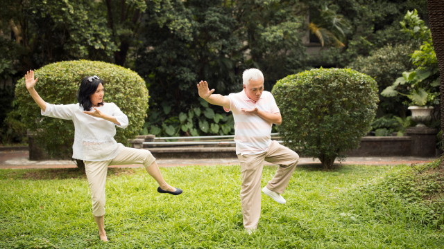 Master Tai Chi Chen Style 38 Forms for Sharp Mind