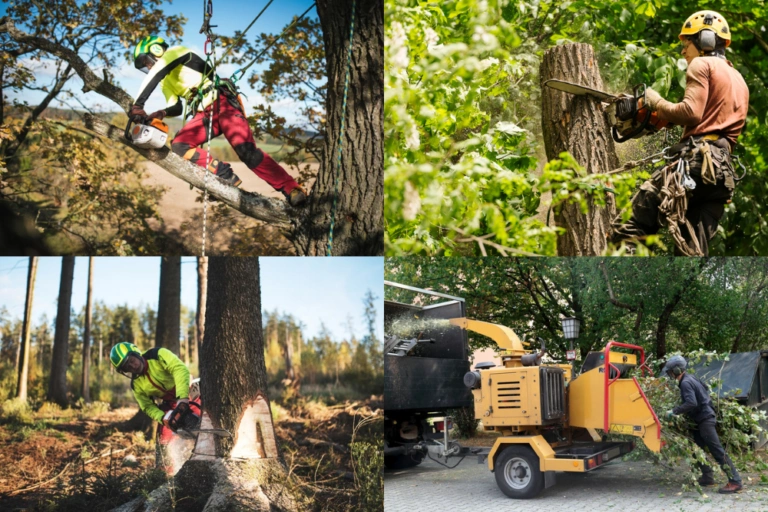 Tree Surgeon