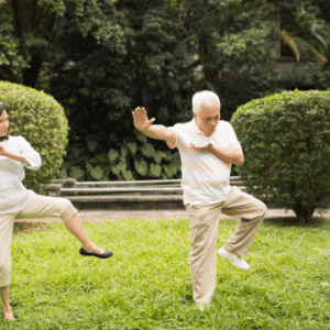 Authentic Fighting Tai Chi-Chen New Frame Routine (XinJia) 1