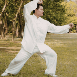 Tai Chi Martial Art - Original Chen Style Old Form One