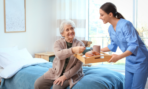 Senior Adult Care Support Worker