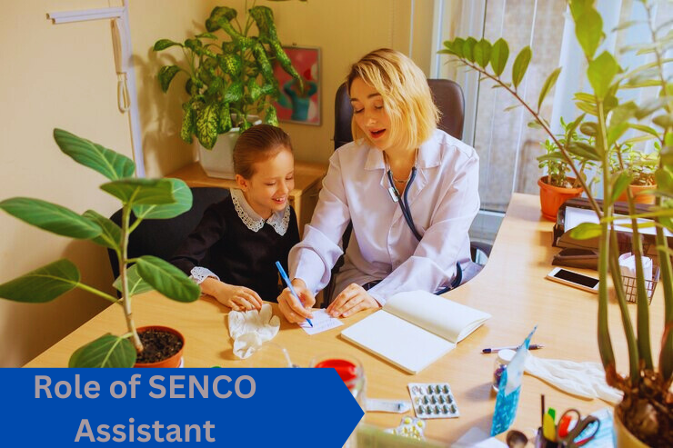 What is the role of a SENCO Assistant