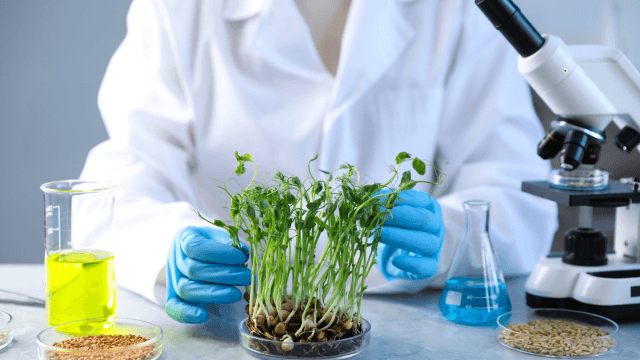 Agricultural Science | QLS Endorsed Certificate – One Education