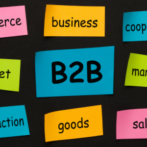B2B Business Development