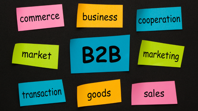 B2B Business Development