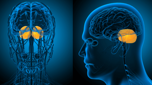 Brainspotting - Process and Trauma Treatment