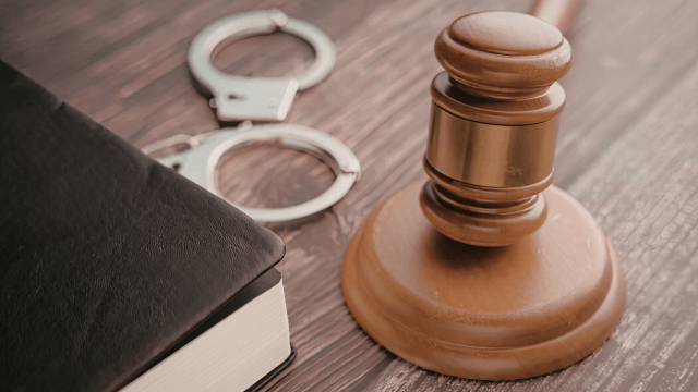 International Law (Criminal Law, Commercial Law, Environmental Law & More!)