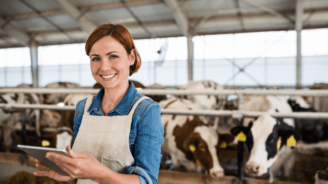 Livestock Management