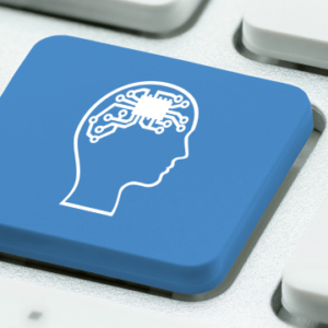 Neuroscience of Learning