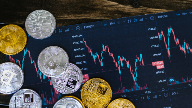 Stock and Bond Investment