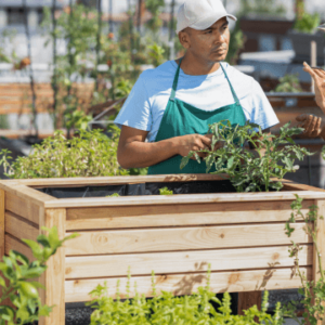 Urban Farming and Gardening