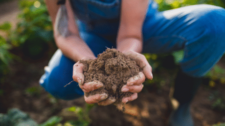 Urban Farming and Gardening