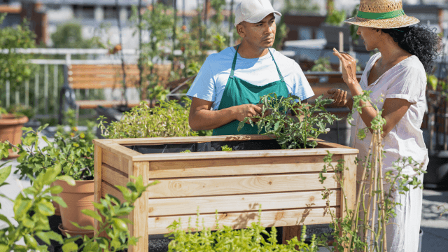 Urban Farming and Gardening
