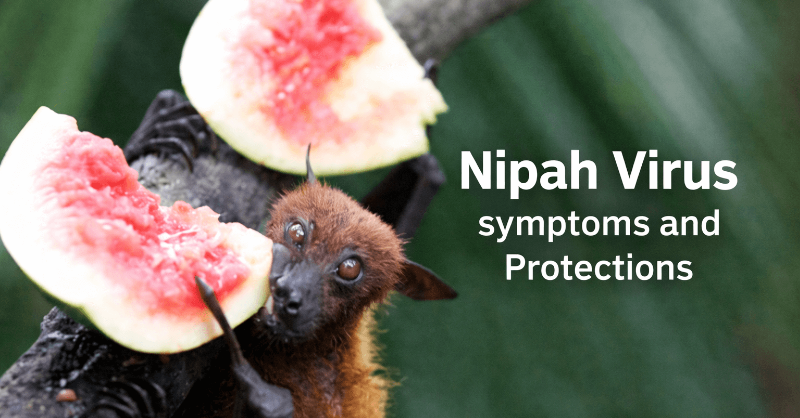 Nipah Virus symptoms