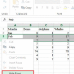 Adjust Row Height