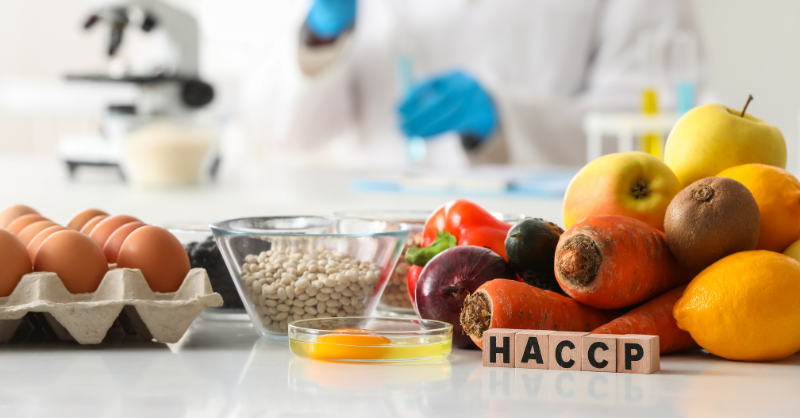 HACCP Explained for UK Catering: How to Identify Hazards and Control Critical Points