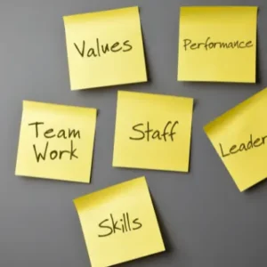 Organisational Skills Training - Level 2